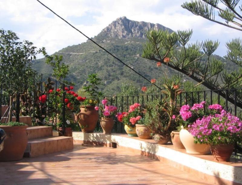 Laura Flores Apartment Calp